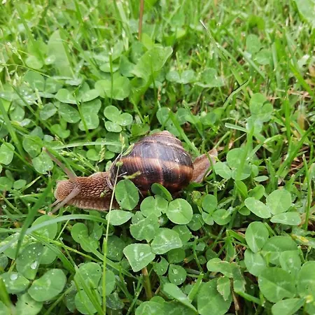 By The River 公寓 Stevrek