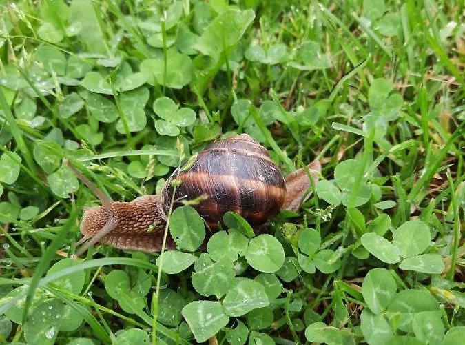By The River דירה Stevrek